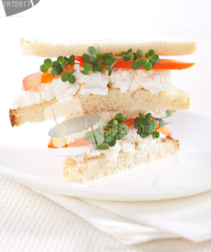 Image of Vegetarian sandwiches