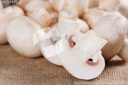 Image of Fresh mushrooms