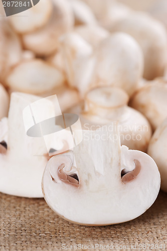 Image of Fresh mushrooms