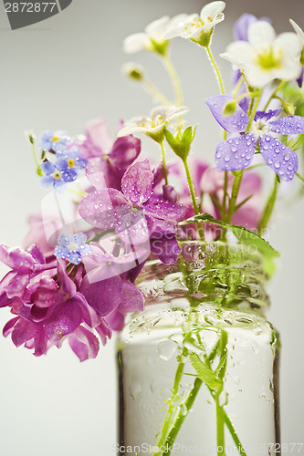 Image of Beautiful spring flowers