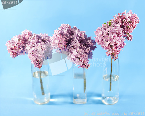 Image of Bouquet of violet lilac