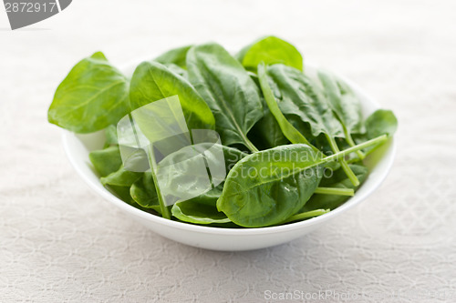 Image of Fresh spinach