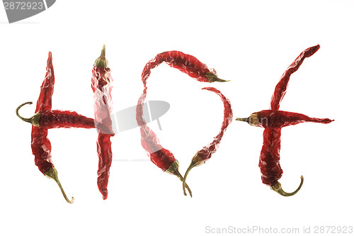 Image of Red chilli peppers spelling the word "hot"