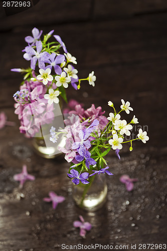 Image of Bouquet of spring flowers