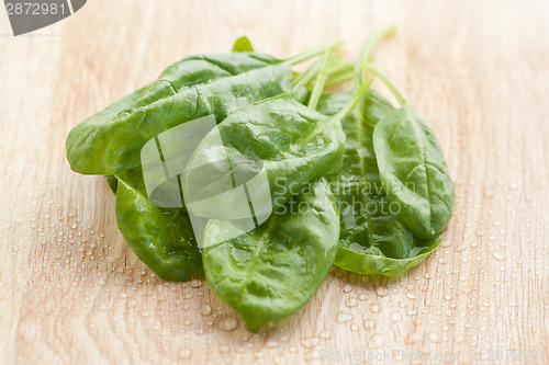 Image of Fresh spinach