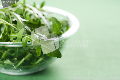 Image of Rucola fresh salad