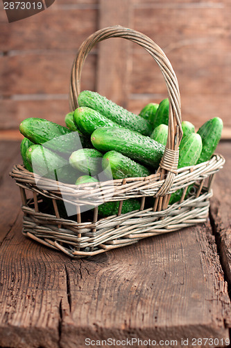 Image of Harvest cucumbers in a basket