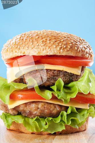 Image of Double cheeseburger