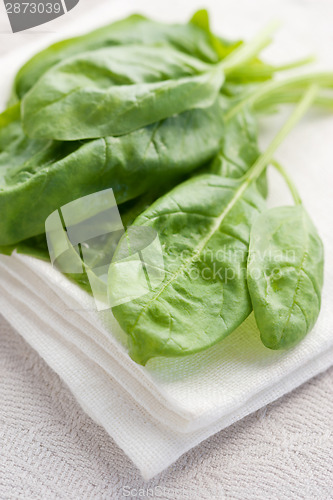 Image of Fresh spinach