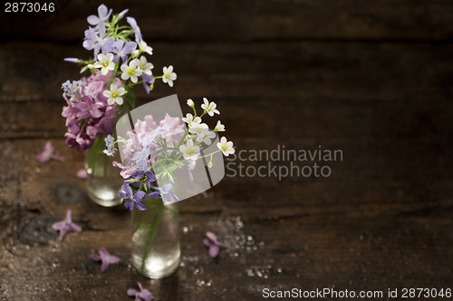 Image of Beautiful spring flowers