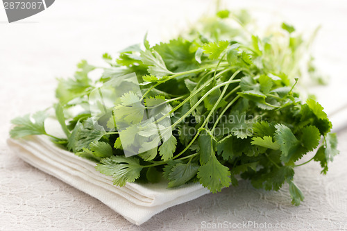 Image of Fresh coriander
