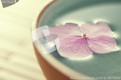 Image of Flowers in bowl of water