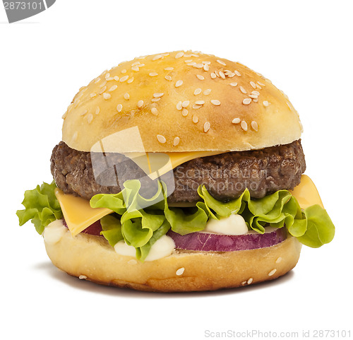 Image of Tasty burger