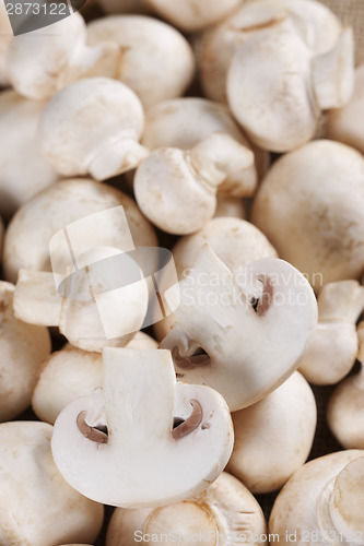 Image of Fresh mushrooms