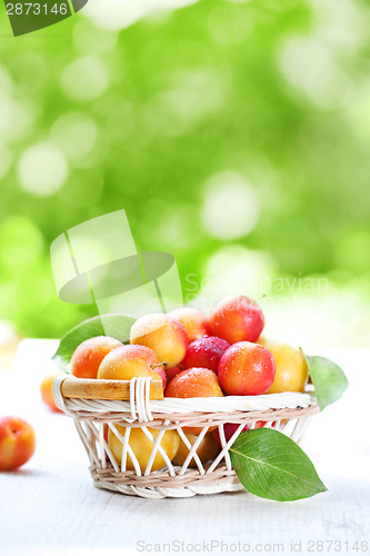 Image of Fresh plums