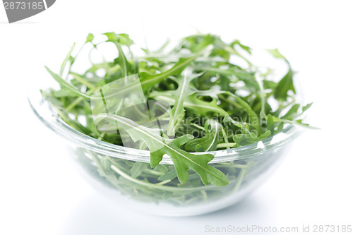 Image of Rucola fresh salad