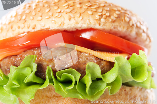 Image of Cheeseburger with tomatoes and lettuce