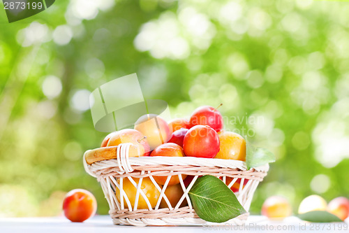 Image of Fresh plums