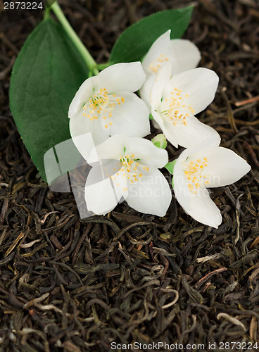 Image of Tea with jasmine flowers
