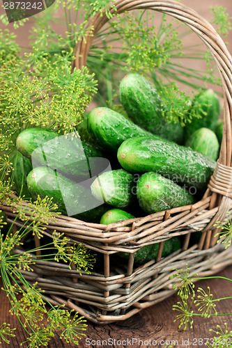 Image of Harvest cucumbers in a basket