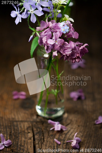 Image of Beautiful spring flowers