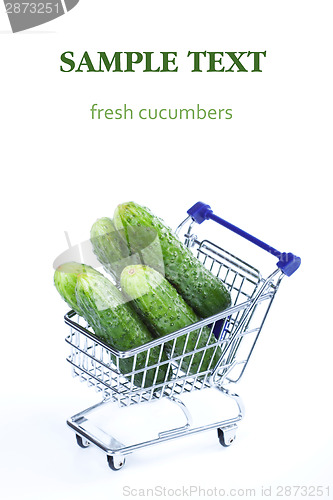 Image of Cucumbers in a shopping cart