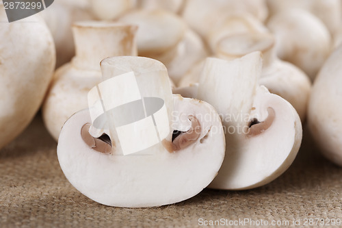 Image of Fresh mushrooms