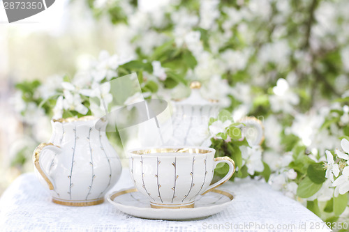 Image of Tea in the blossoming garden