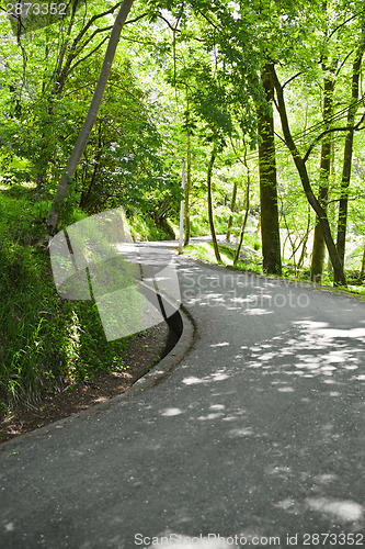 Image of Road in the park