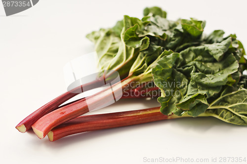 Image of Fresh rhubarb