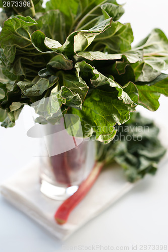 Image of Fresh organic rhubarb