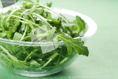 Image of Rucola fresh salad