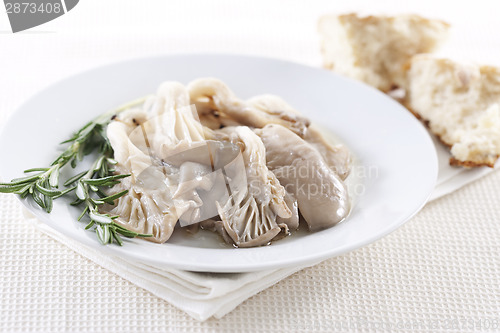 Image of Fried oyster mushrooms