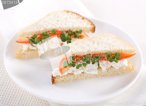 Image of Vegetarian sandwiches