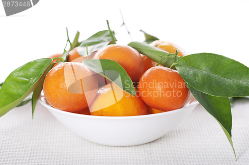 Image of Ripe tangerines