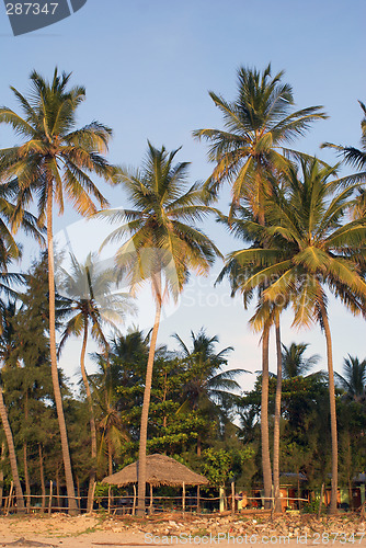 Image of Sunset on the tropical beach