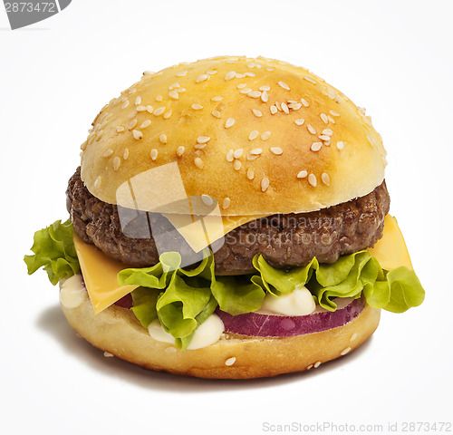 Image of Tasty burger