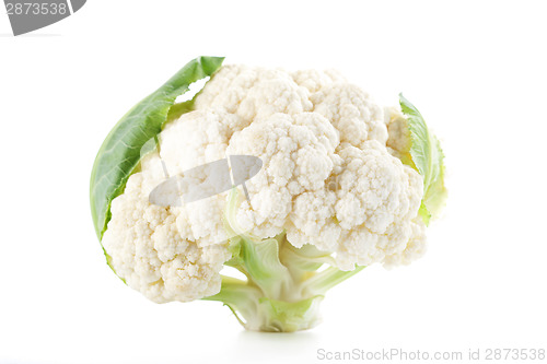 Image of Cauliflower