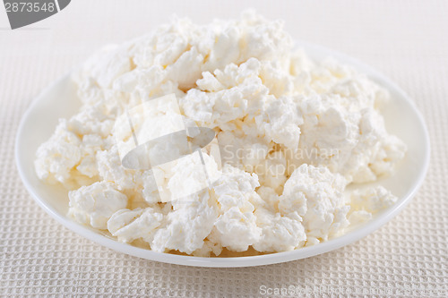 Image of Cottage cheese