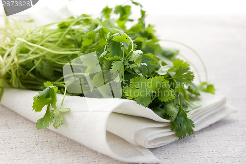 Image of Fresh coriander