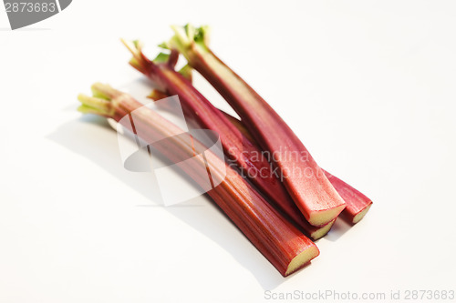 Image of Fresh rhubarb