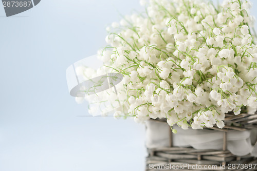 Image of Basket with lilies of the valley 