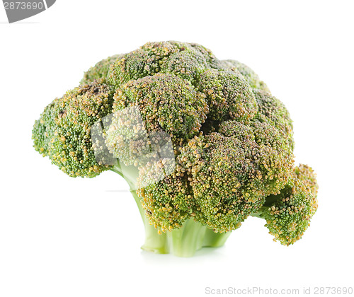 Image of Broccoli