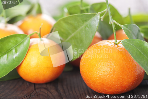 Image of Ripe tangerines