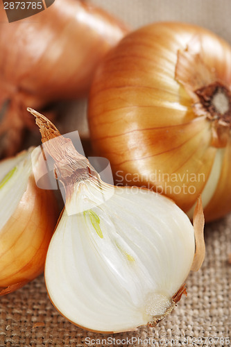 Image of Onion on sacking