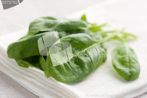 Image of Fresh spinach