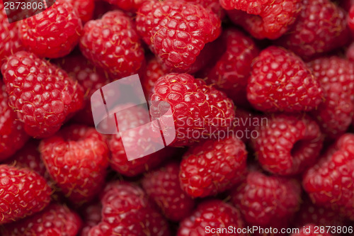 Image of Raspberry