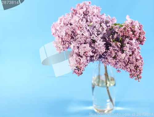 Image of Bouquet of violet lilac