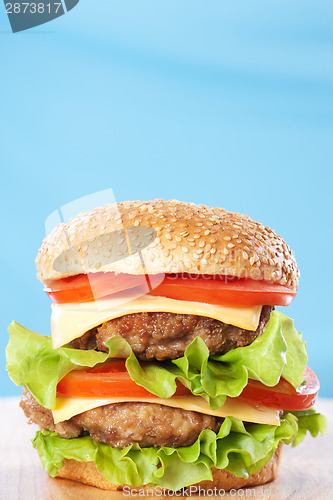 Image of Double cheeseburger