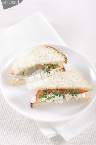 Image of Vegetarian sandwiches